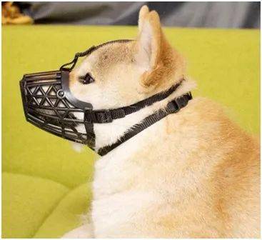 萌宠用品商品归类知多少 宠物全运会的趣味指南