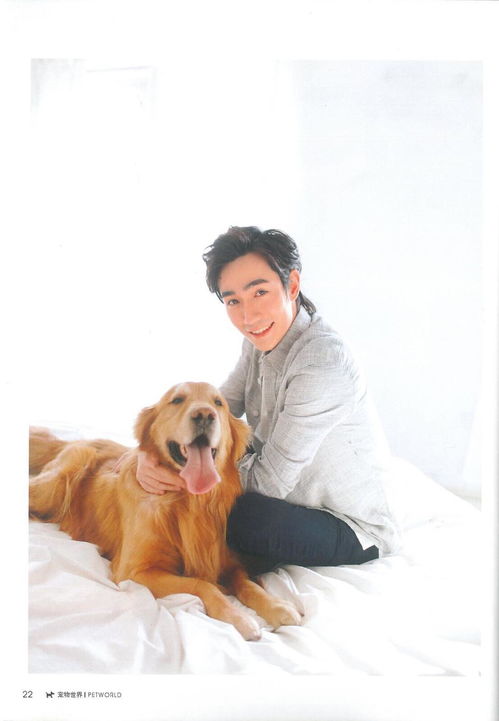 粉丝心声与荧屏新篇 朱一龙的清晨问候与《宠物全运会》的奇趣世界