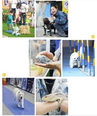 数万宠业人齐聚潮宠展，这些亮点让人惊呼OMG！宠物全运会点燃行业激情